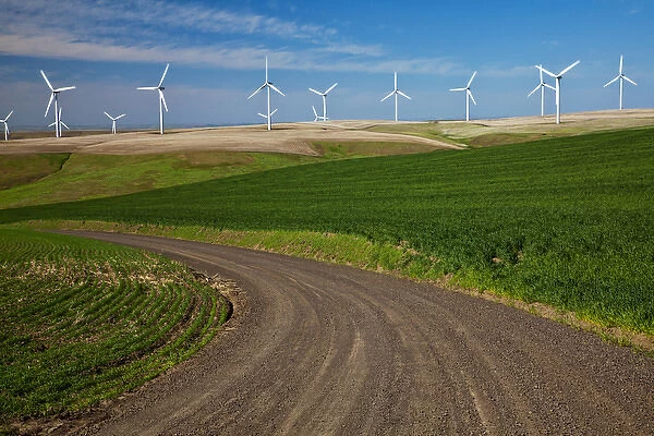 USA, Washington, Spring in Palouse Country Washington with Wind Generators