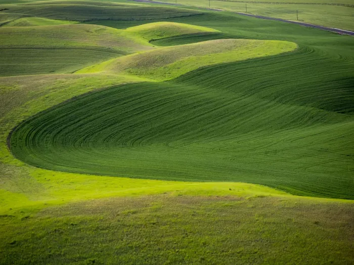 Framed Print : USA, Washington State. Aerial of Palouse Region Framed Print : USA, Washington State. Aerial of Palouse Region