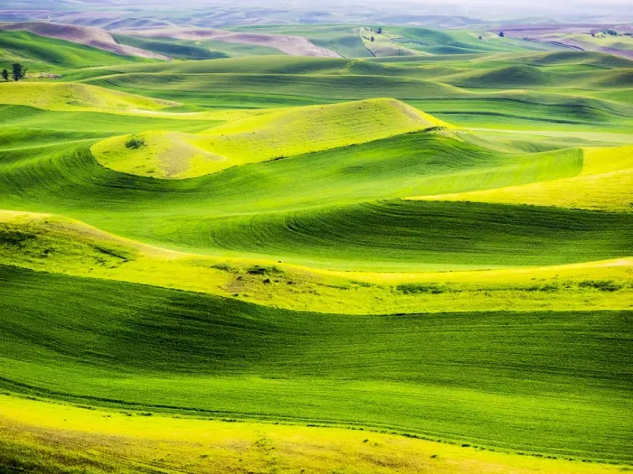 Framed Print : USA, Washington State. Aerial of Palouse Region Framed Print : USA, Washington State. Aerial of Palouse Region