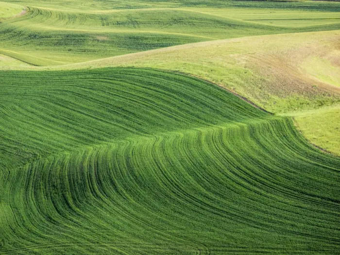 Framed Print : USA, Washington State. Aerial of Palouse Region Framed Print : USA, Washington State. Aerial of Palouse Region