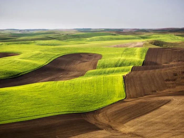Framed Print : USA, Washington State. Aerial of Palouse Region Framed Print : USA, Washington State. Aerial of Palouse Region