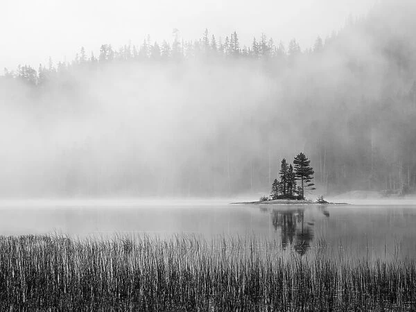 USA, Washington State. Alpine Lakes Wilderness, Snow Lake, island and fog