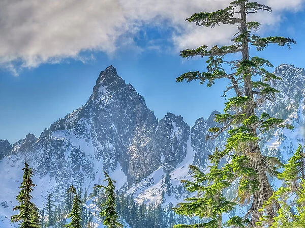 USA, Washington State, Alpine Lakes Wilderness. Kaleetan Peak and alpine fir trees