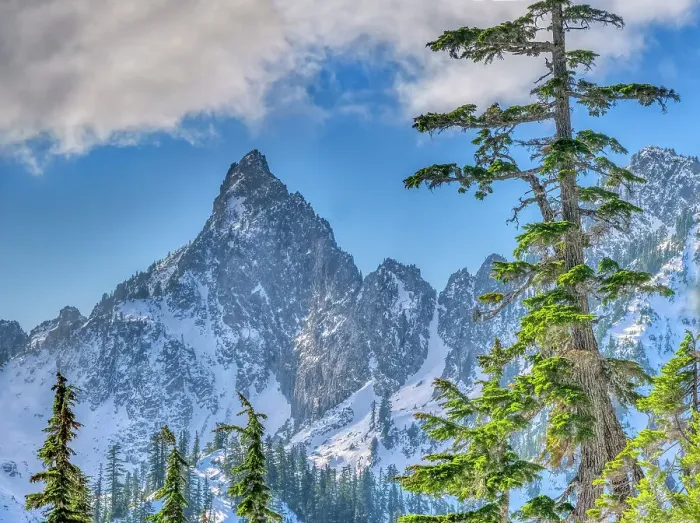 Framed Print : USA, Washington State, Alpine Lakes Wilderness. Kaleetan Peak and alpine fir trees Framed Print : USA, Washington State, Alpine Lakes Wilderness. Kaleetan Peak and alpine fir trees