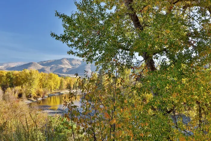Framed Print : USA, Washington State. Autumn colors along the Methow River near Winthrop