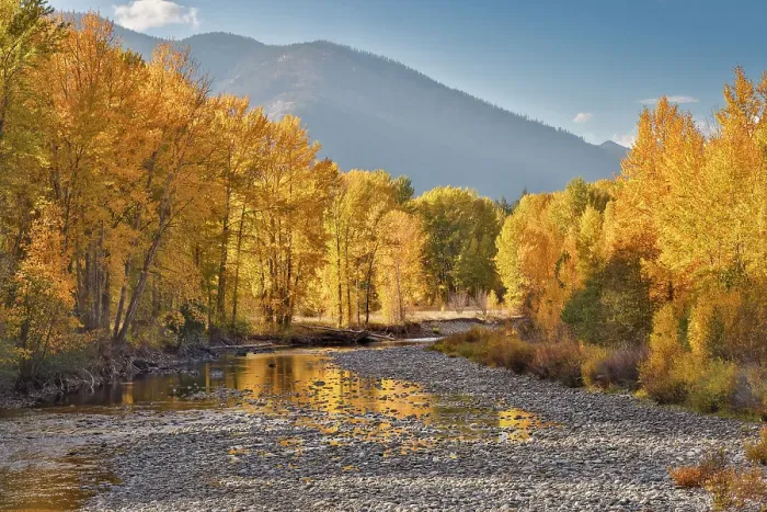 Framed Print : USA, Washington State. Autumn colors along the Methow River near Winthrop Framed Print : USA, Washington State. Autumn colors along the Methow River near Winthrop