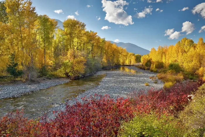 Framed Print : USA, Washington State. Autumn colors along the Methow River near Winthrop Framed Print : USA, Washington State. Autumn colors along the Methow River near Winthrop