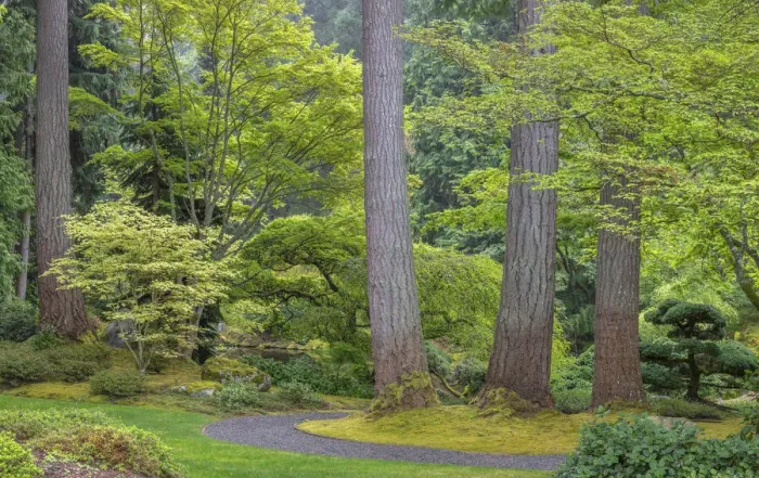 Framed Print : USA, Washington State, Bainbridge Island. Garden path composite panoramic Framed Print : USA, Washington State, Bainbridge Island. Garden path composite panoramic
