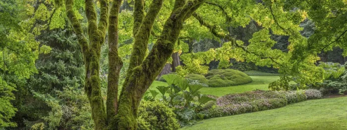 Framed Print : USA, Washington State, Bainbridge Island. Panoramic of garden