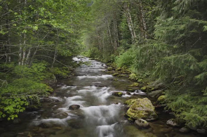Framed Print : USA, Washington State. Beckler River, Mount Baker Snoqualmie National Forest