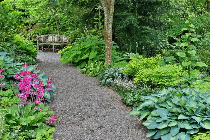 Framed Print : USA, Washington State, Bellevue. Bellevue Botanical Garden, gravel path in garden Framed Print : USA, Washington State, Bellevue. Bellevue Botanical Garden, gravel path in garden