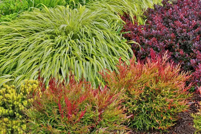 Framed Print : USA, Washington State, Bellevue. Bellevue Botanical Garden