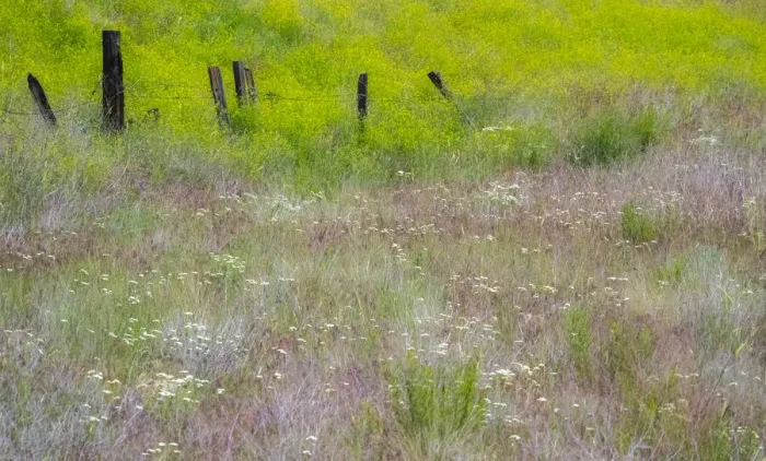 Framed Print : USA, Washington State, Benge. Wooden post fence and grasses on rolling hills Framed Print : USA, Washington State, Benge. Wooden post fence and grasses on rolling hills