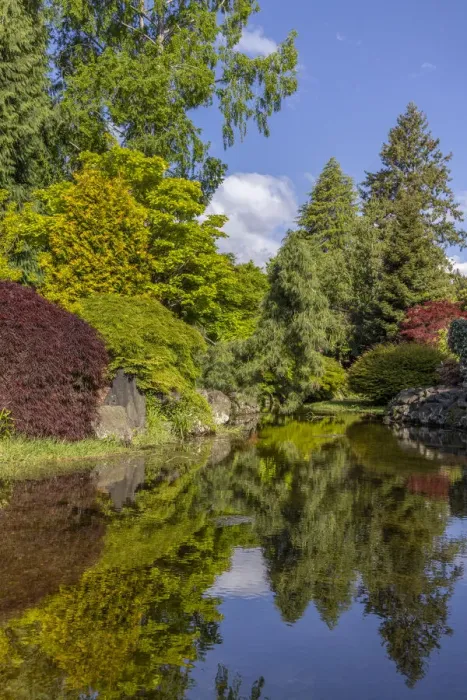 Framed Print : USA, Washington State, Brinnon. Whitney Garden and Nursery landscape reflects in pond
