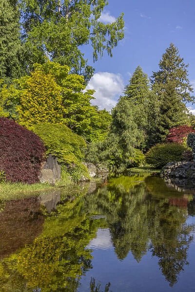 USA, Washington State, Brinnon. Whitney Garden and Nursery landscape reflects in pond