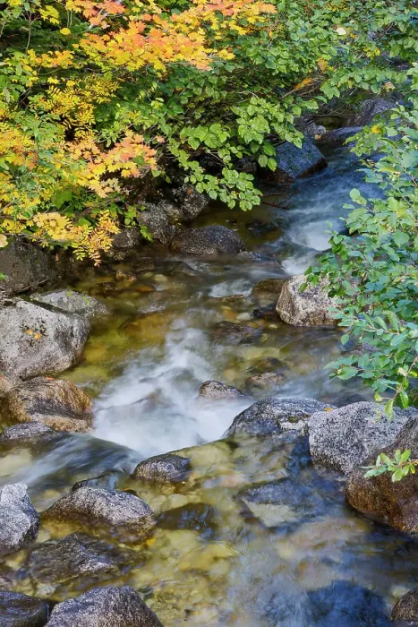 Framed Print : USA, Washington State. Cascade mountains near Stevens Pass and small steam with autumn colored vine maple