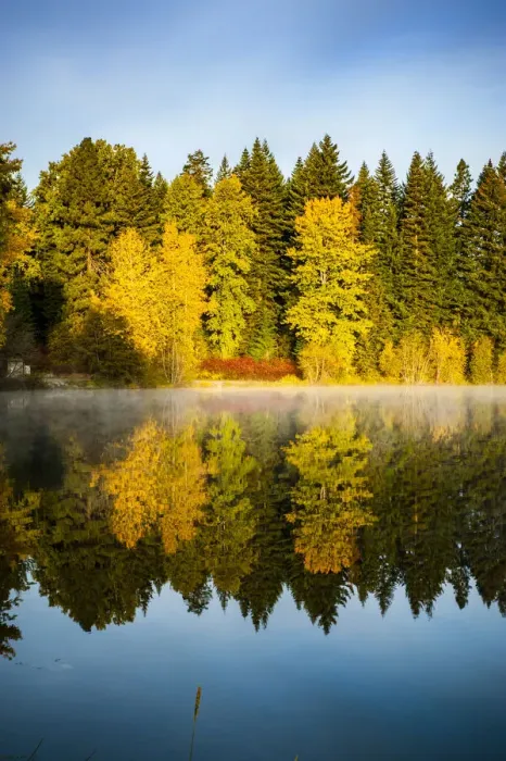 Framed Print : USA, Washington State, Cle Elum. Fall color by a pond in Central Washington Framed Print : USA, Washington State, Cle Elum. Fall color by a pond in Central Washington