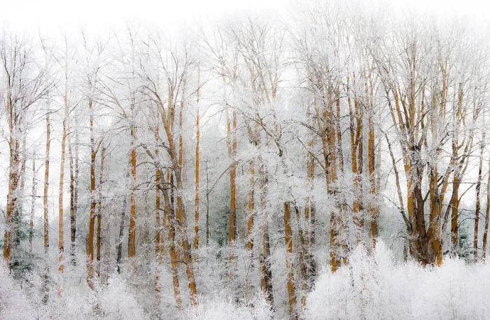 Framed Print : USA, Washington State, Cle Elum, Kittitas County. Winter along the Yakima River