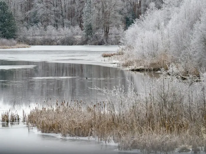 Framed Print : USA, Washington State, Cle Elum, Kittitas County. Winter along the Yakima River Framed Print : USA, Washington State, Cle Elum, Kittitas County. Winter along the Yakima River