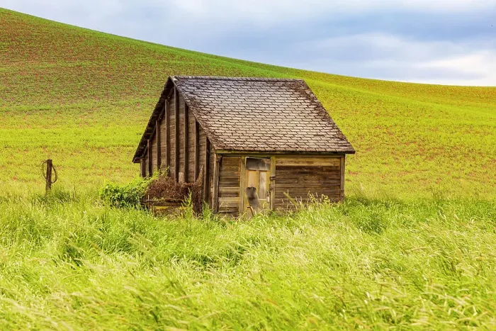 Framed Print : USA, Washington State, Colton, Palouse. Green wheat fields. Wooden barn or wooden shed Framed Print : USA, Washington State, Colton, Palouse. Green wheat fields. Wooden barn or wooden shed