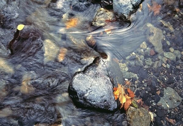 USA, Washington State, Dryden Creek. Dryden Creek creates a variety of color