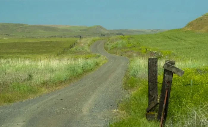 Framed Print : USA, Washington State, Eastern Washington near Benge and curved gravel road