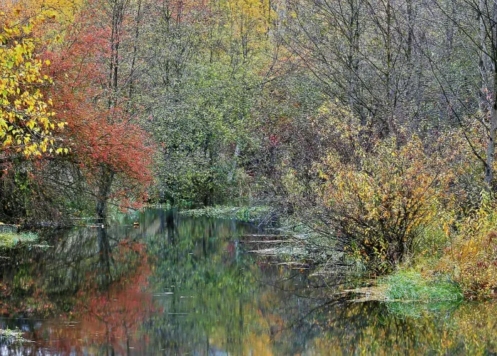Framed Print : USA, Washington State, Easton and Washington Cascades water way off of Yakima River in Fall Color Framed Print : USA, Washington State, Easton and Washington Cascades water way off of Yakima River in Fall Color