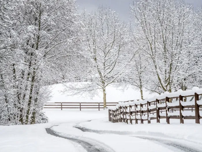 Framed Print : USA, Washington State, Fall City, fresh snow on trees and fence and snow covered road Framed Print : USA, Washington State, Fall City, fresh snow on trees and fence and snow covered road