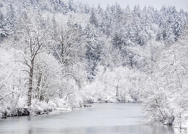 USA, Washington State, Fall City and the Snoqualmie river with winter fresh snow fall