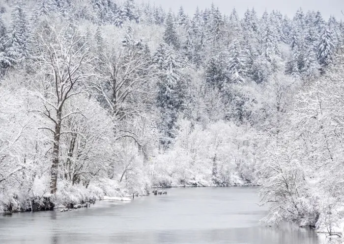 Framed Print : USA, Washington State, Fall City and the Snoqualmie river with winter fresh snow fall Framed Print : USA, Washington State, Fall City and the Snoqualmie river with winter fresh snow fall
