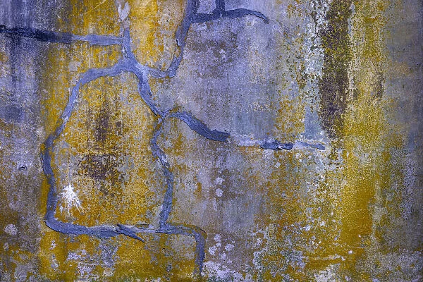 USA, Washington State, Fort Flagler State Park. Abstract pattern of weathered wall