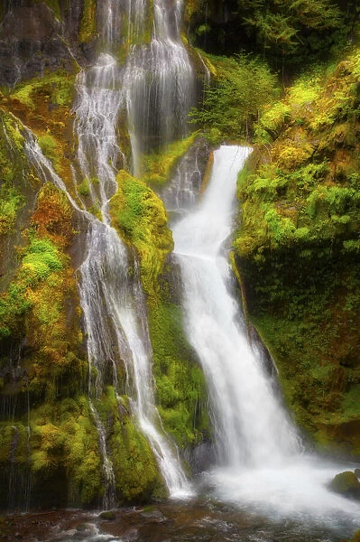 USA, Washington State, Gifford Pinchot National Forest. Panther Creek Falls along Panther Creek