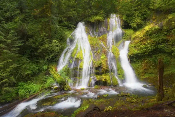 Framed Print : USA, Washington State, Gifford Pinchot National Forest. Panther Creek Falls along Panther Creek