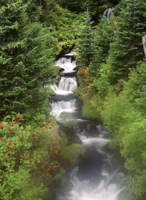 Framed Print : USA, Washington State, Gifort Pinchot National Forest, Mt. Adams and Twin falls Framed Print : USA, Washington State, Gifort Pinchot National Forest, Mt. Adams and Twin falls
