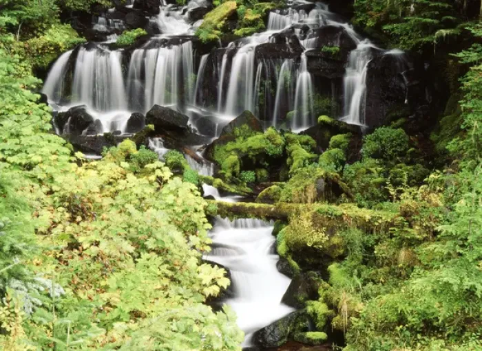 Framed Print : USA, Washington State, Gifort Pinchot National Forest, Mt. Adams and Twin falls