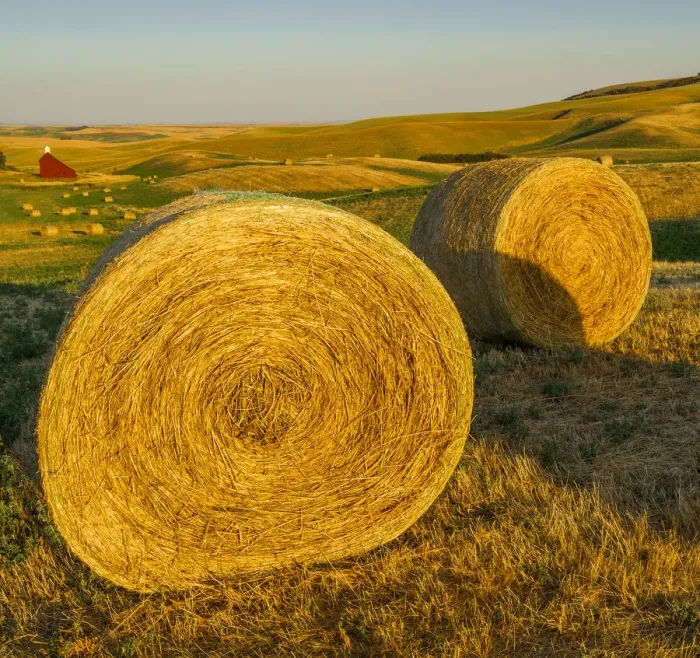 Framed Print : USA, Washington State, harvest, bales of hay
