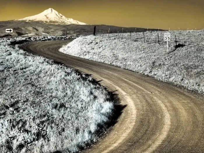 Framed Print : USA, Washington State. Infrared capture of road running though wildflowers with Mount Hood in background Framed Print : USA, Washington State. Infrared capture of road running though wildflowers with Mount Hood in background