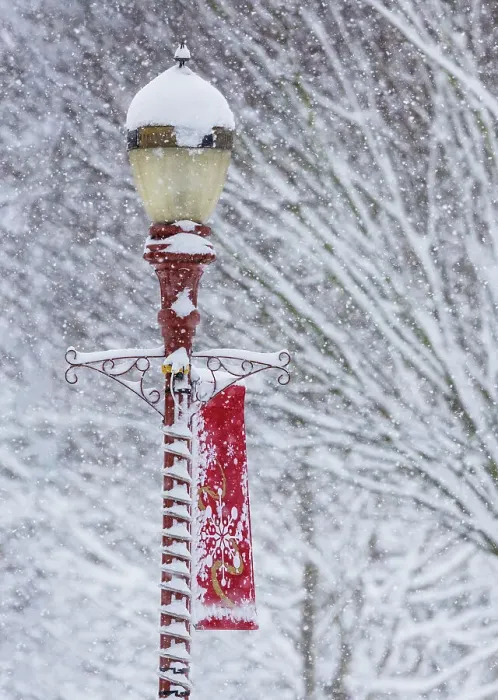 Framed Print : USA, Washington State, Issaquah with fresh fallen snow and red lamppost with Christmas decorations Framed Print : USA, Washington State, Issaquah with fresh fallen snow and red lamppost with Christmas decorations