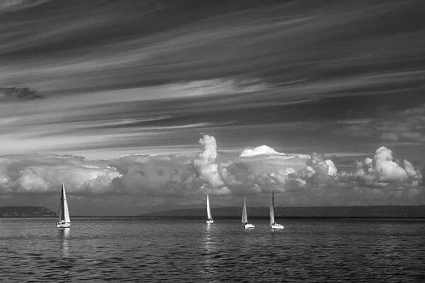 USA, Washington State, Kingston. Black and white of sailboats on Puget Sound. Credit as