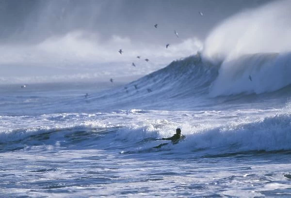 USA, Washington State, La Push. Man kayak surfing in big swell. (MR)