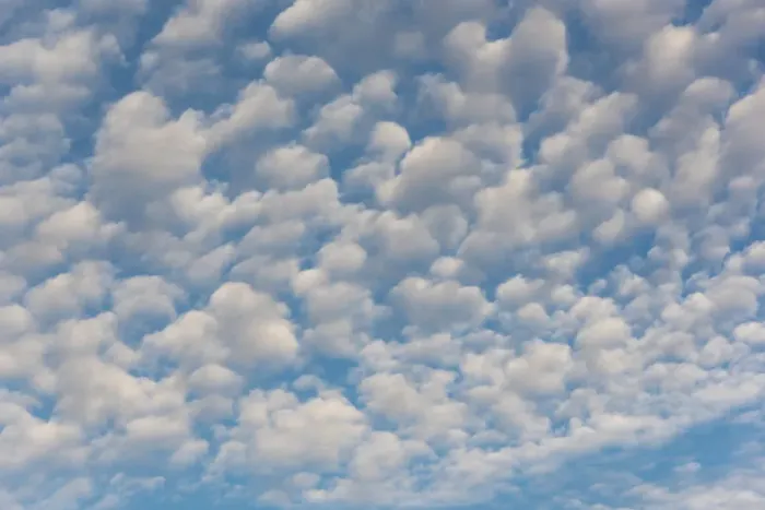 Framed Print : USA, Washington State. Mackerel sky makes compelling patterns in bright blue sky Framed Print : USA, Washington State. Mackerel sky makes compelling patterns in bright blue sky