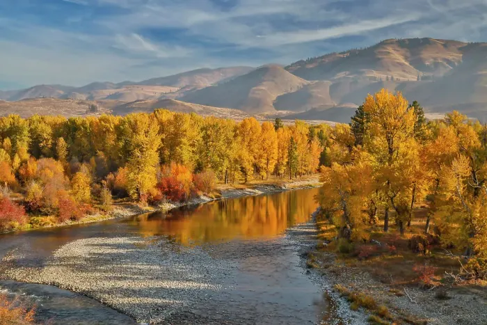 Framed Print : USA, Washington State, Methow Valley and river edged in Fall colored trees Framed Print : USA, Washington State, Methow Valley and river edged in Fall colored trees