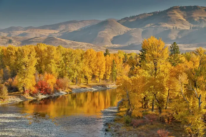 Framed Print : USA, Washington State, Methow Valley and river edged in Fall colored trees