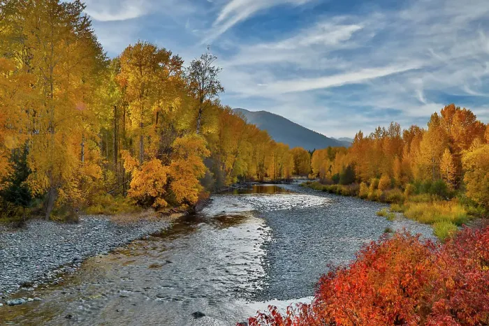 Framed Print : USA, Washington State, Methow Valley and river edged in Fall colored trees Framed Print : USA, Washington State, Methow Valley and river edged in Fall colored trees