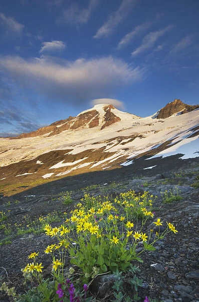 USA, Washington State. Mount Baker (elevation 10, 778 feet, 3