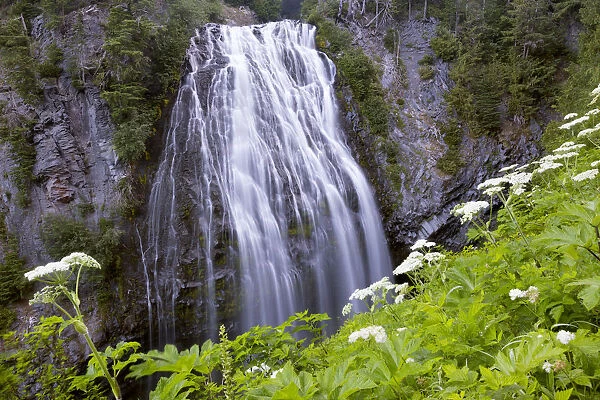 USA, Washington State. Mount Rainier National Park, Narada Falls