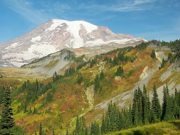 USA, Washington State, Mount Rainier National Park. Mount Rainier and fall color, view from Skyline Trail