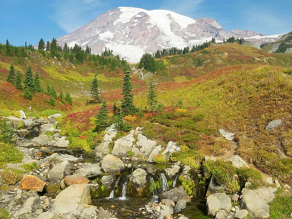 USA, Washington State, Mount Rainier National Park. Mount Rainier and fall color, with Edith Creek