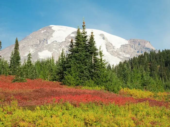 Framed Print : USA, Washington State, Mount Rainier National Park. Fall Color and snow-capped Mount Rainier