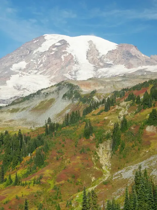 Framed Print : USA, Washington State, Mount Rainier National Park. Mount Rainier and fall color, view from Skyline Trail